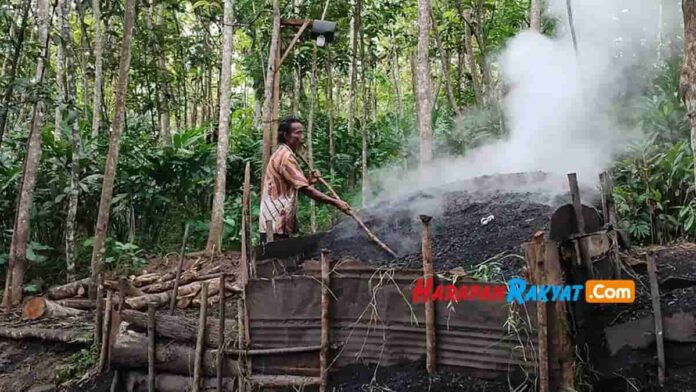 Pembuatan arang kayu