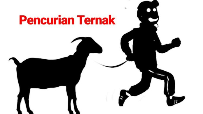 Pencurian Ternak