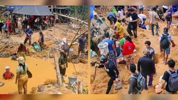 Penemuan Batu Emas di Gunung Mas Viral