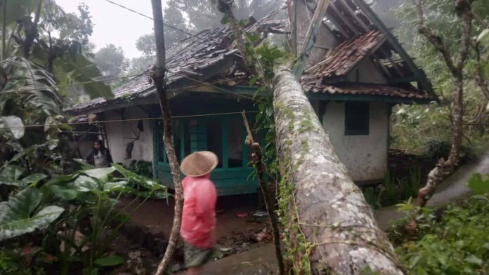 Rumah Rusak tertimpa pohon di Ciakar Ciamis