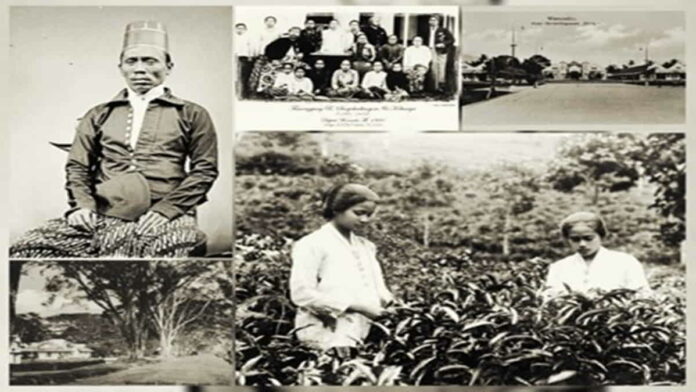 Sejarah Wonosobo