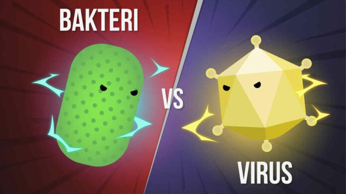 Virus VS Bakteri, Mana yang Sebenarnya Lebih Berbahaya?