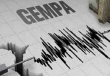 Ilustrasi Gempa