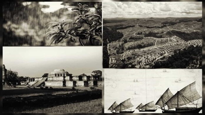 Deforestasi Kerajaan Sriwijaya