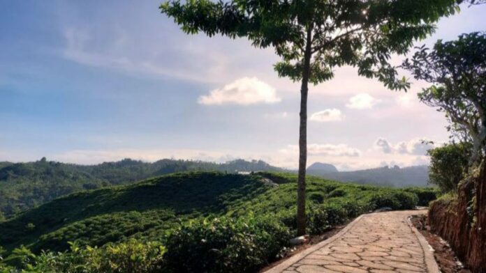Desa wisata terindah