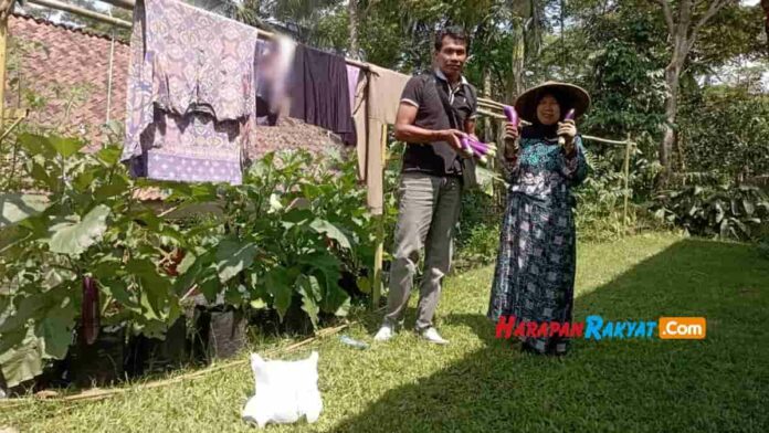 Manfaatkan lahan pekarangan