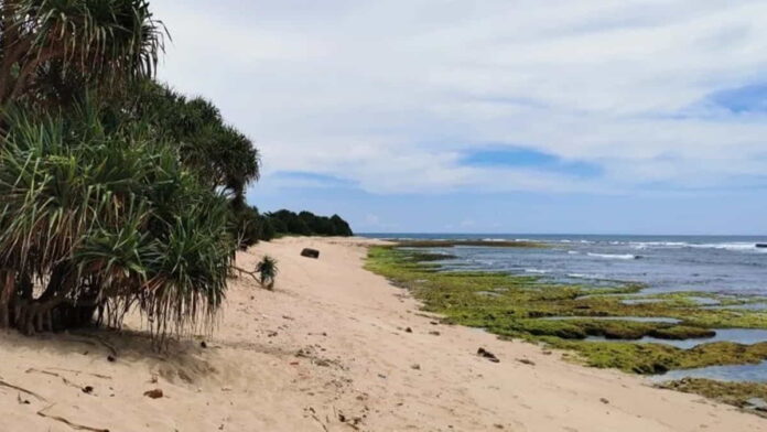 Pantai Karang Papak Garut