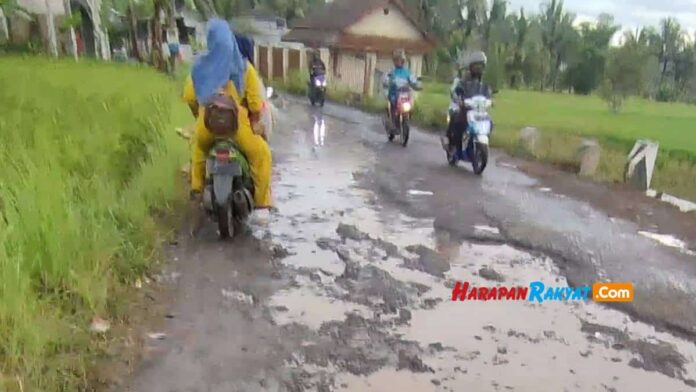 Pemerintah Turun Tangan