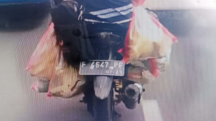 Video Viral Pemotor Bawa Karung Berisi 6 Kucing di Bogor