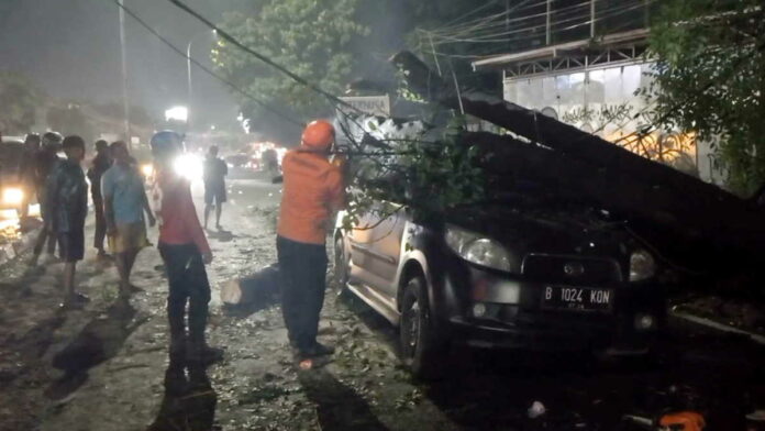 Sebuah Pohon Kedondong Tumbang Timpa Minibus di Tambun Bekasi