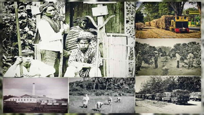 Sejarah Pabrik Tebu di Yogyakarta Tahun 1930