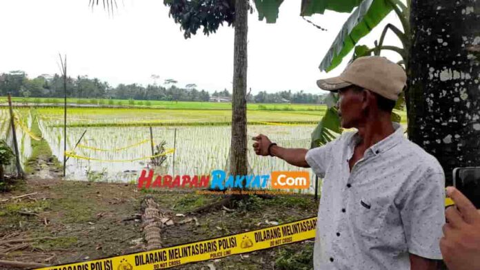Dugaan Penyebab Pembunuhan Kuswanto