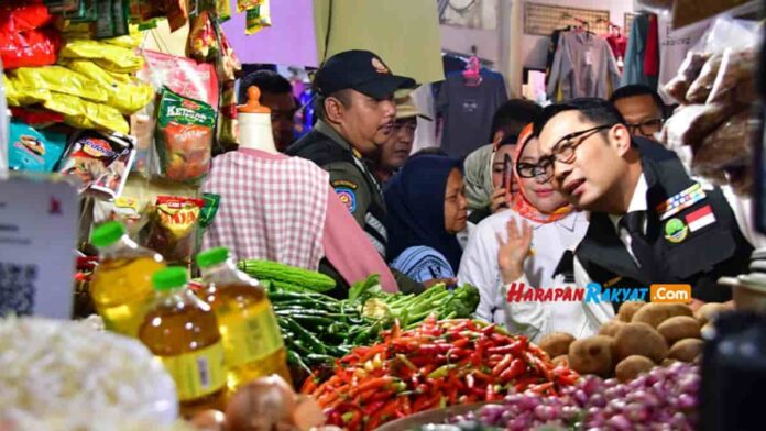 cek harga di pasar