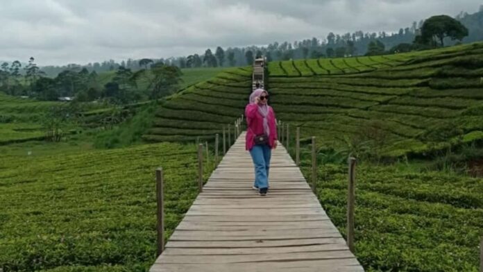 nuansa riung gunung pangalengan