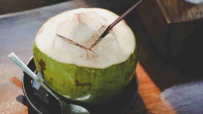 Manfaat Kelapa Bakar, Ampuh Jaga Kesehatan Tubuh