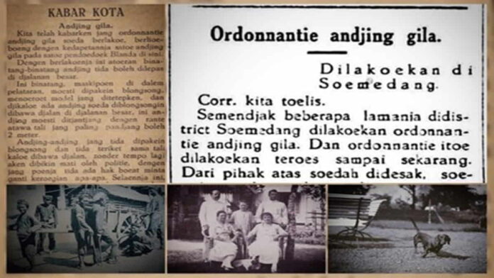 Ordonnantie Andjing Gila