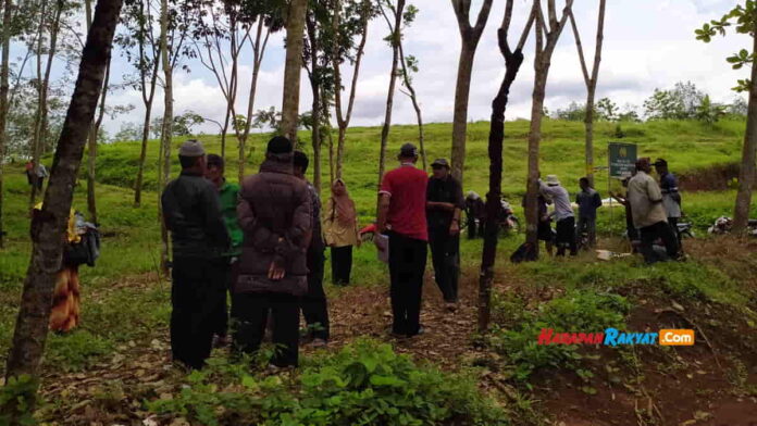 Perkebunan PTPN VIII Batulawang