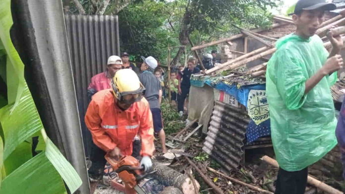 Rumah Rusak Tertimpa Pohon di Kota Banjar