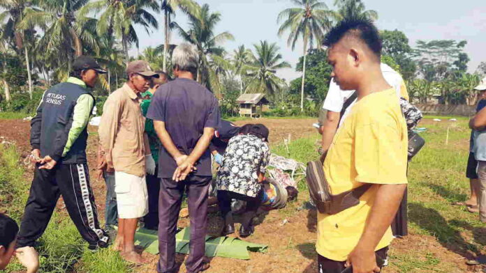Seorang Petani di Tasikmalaya Meninggal di Sawah