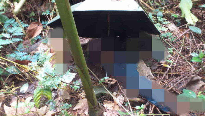 Tengkorak Kepala Berpayung Hitam di Bogor