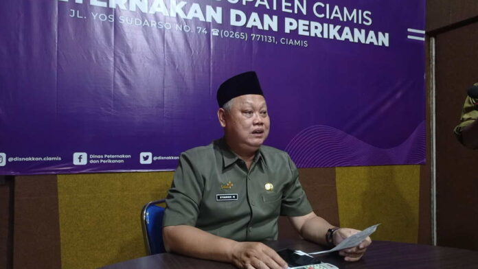 Tidak Ada Laporan Kasus Flu Burung, Disnakan Ciamis Lakukan Ini untuk Pencegahan