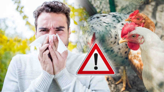 Walikota Pastikan Kota Bandung Nol Kasus Flu Burung