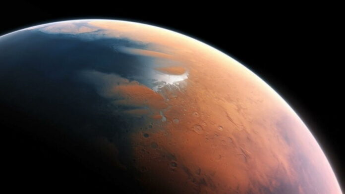 Bukti Planet Mars Pernah Dihuni, Ditemukannya Blueberry Mars