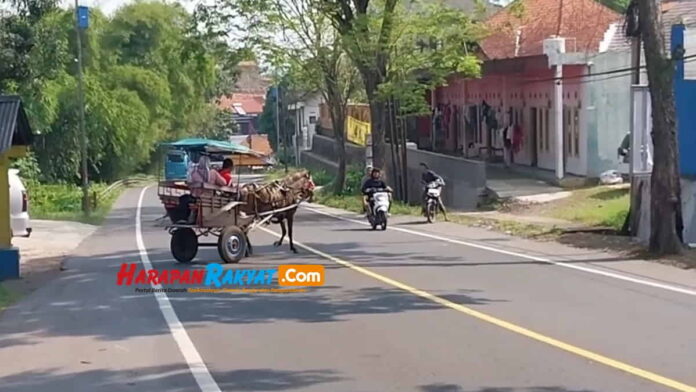 Delman Dilarang Beroperasi di Garut