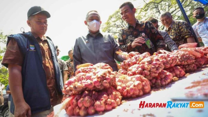 gerakan pangan murah