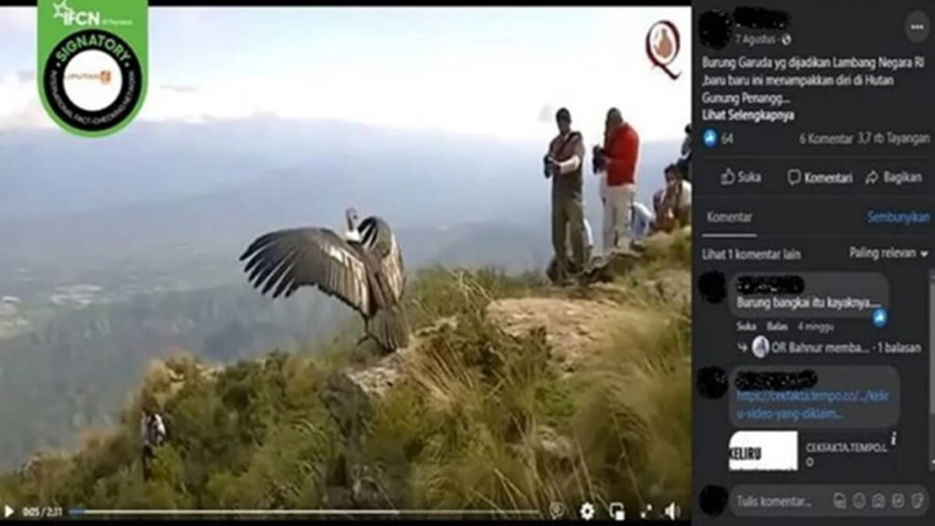 Hoaks Burung Garuda