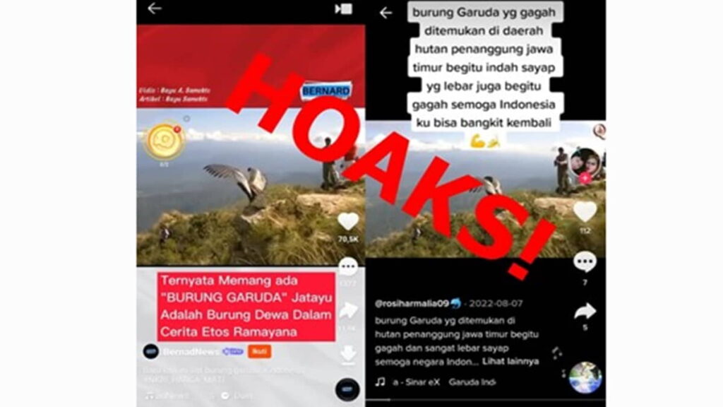 Hoaks Burung Garuda di Snack dan TikTok