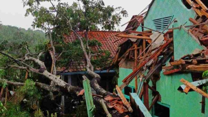 Rumah Hancur tertimpa pohon