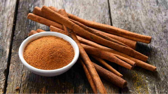 Manfaat Kulit Kina sebagai Obat Herbal Atasi Berbagai Penyakit
