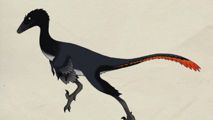 Penemuan Fosil Troodontidae, Dinosaurus dengan Suhu Tinggi