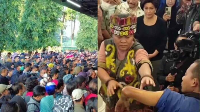 pengobatan ida dayak