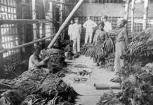 Agraris Wet 1870
