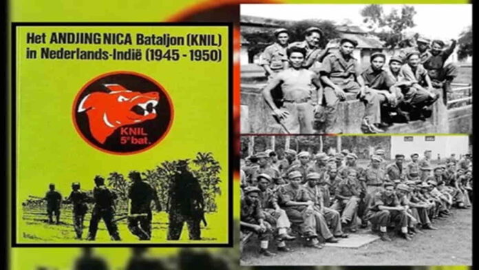 Andjing Nica Batalyon Pasukan Pribumi Pro Belanda