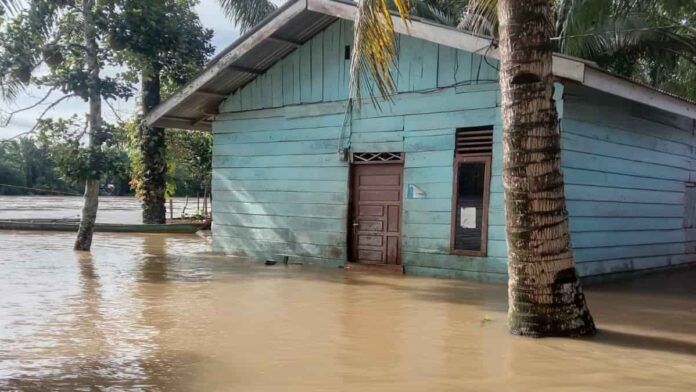 Dua Kabupaten di Provinsi Aceh Terendam Banjir Luapan Sungai Kluet