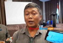Daftar Pemilih