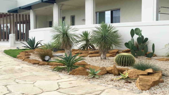 Desain Taman Kering Minimalis