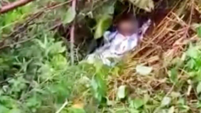 Tengkorak manusia di pinggir jalan