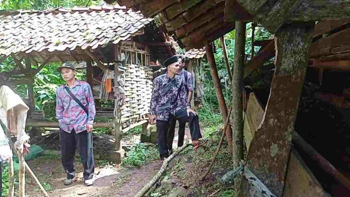 BKSDA Ciamis turun tangan