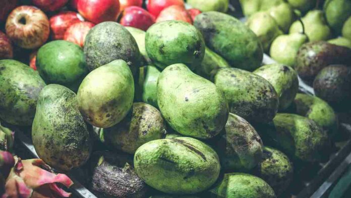 Manfaat Buah Bacang, Menjaga Kesehatan Otak hingga Mata