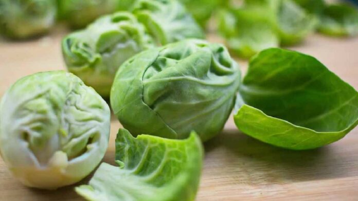 Manfaat Daun Cuciwis, Menjaga Saraf hingga Mencegah Kanker