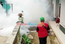 Positif DBD, Satu Orang Warga Ciamis Meninggal Dunia