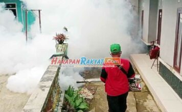 Positif DBD, Satu Orang Warga Ciamis Meninggal Dunia