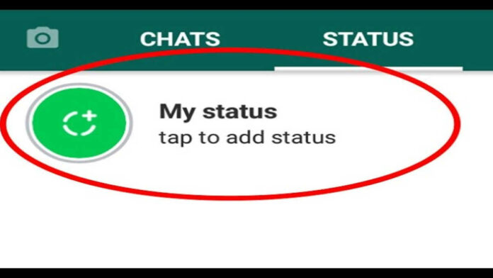 Tanda Status WA di Privasi yang Harus Diketahui