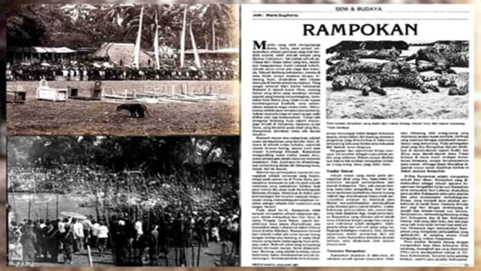 Tradisi Rampok Macan