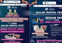 Ikut Meriahkan Galuh Digital Fest, Bapenda Ciamis Buka Layanan Pembayaran PBB P-2 dengan QRIS