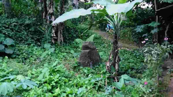 Mitos Melempar Batu Muncung